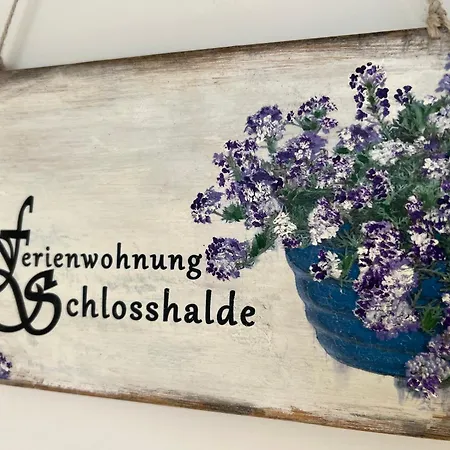 Schlosshalde